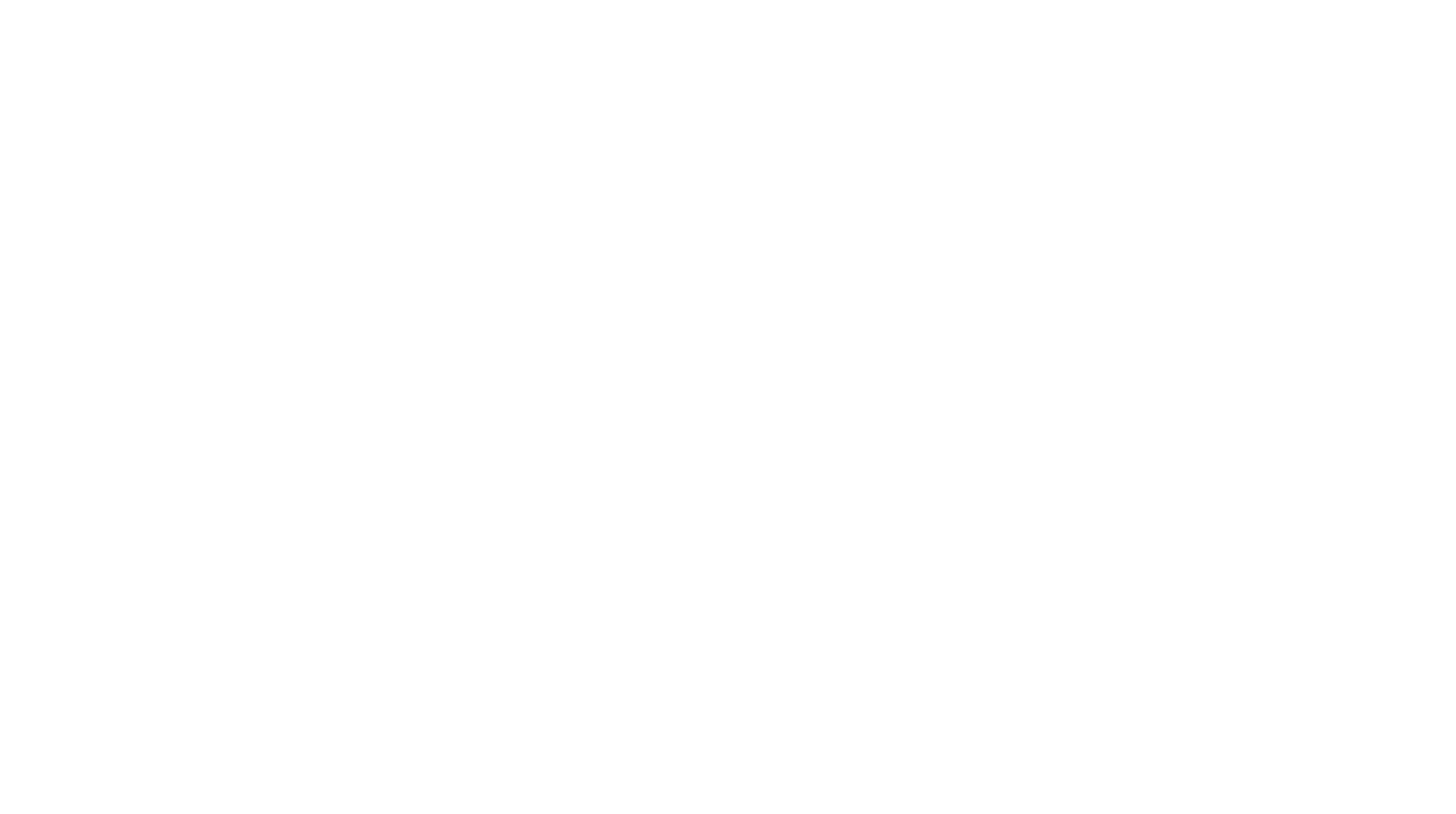 Logo_Octantys_branco